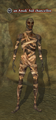 Thumbnail for version as of 02:46, April 15, 2013