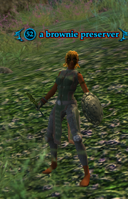 A brownie preserver (heroic)
