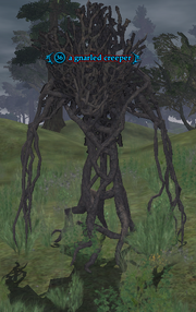 A gnarled creeper