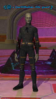 A Quellithulian elite guard