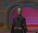 A Quellithulian elite guard