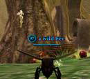 A wild bee (Shard of Love: Weeding Corruption)