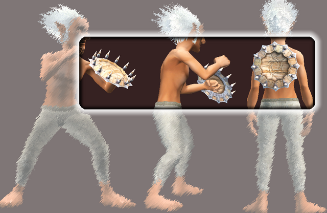 File:Aegis of the Beetle (Equipped).png