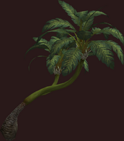 Leaning Palm Tree (Placed)