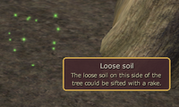 Seed Sampling loose soil