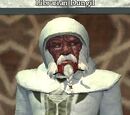 Librarian Dungil