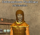 Oolimeminoso Pindiliana