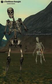 Deathbone theurgist