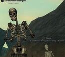 A Deathbone theurgist