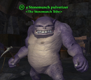 A Stonemunch pulverizer