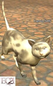 Captain Salty