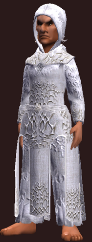 Sage's Gemmed Robe (Equipped)
