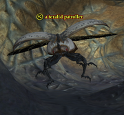 A teralid patroller