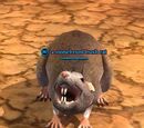 A stonebrunt bush rat