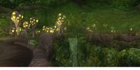 Chelsith: The Ancient Vault