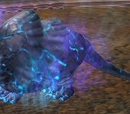 Etherpine Pet