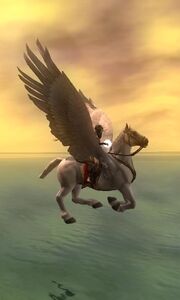 Pegasus inflight 2
