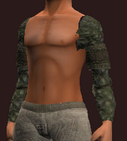 Wanderer's Rare Hide Shoulder Pads (Equipped)