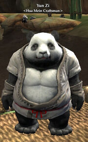 Yun Zi