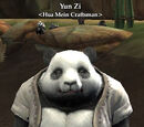 Yun Zi