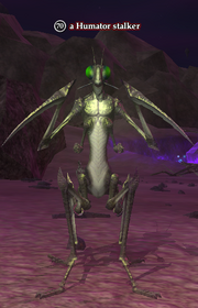 A Humator stalker