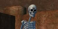 A Varsoon lackey