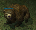 A briarpaw cub.png