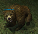 A briarpaw cub