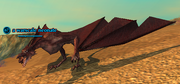 A warscale neonate