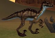 Race raptor