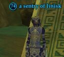 A sentry of Jinisk