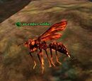 An ember soldier