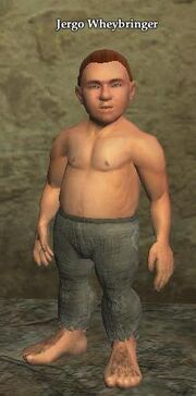 Jergo Wheybringer