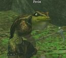 Frrin (Lost VoK)
