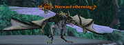 A Wayward etherwing