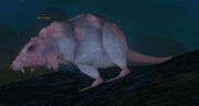 Rotclaw