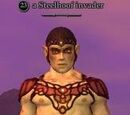 A Steelhoof invader