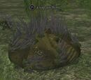 A sap urchin