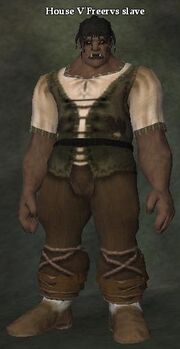 House V'Freervs slave