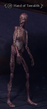 Hand of Tseralith