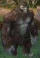 Race brute.jpg