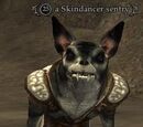 A Skindancer sentry
