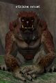 A Grikbar outcast.jpg
