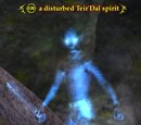 A disturbed Teir'Dal spirit