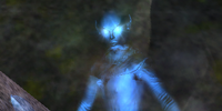 A disturbed Teir'Dal spirit