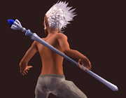 Walking Staff of the Robust (Equipped)