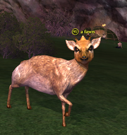 A fawn (Withered Lands)
