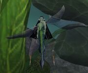 Race fairy