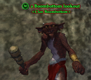 A Boombottom lookout