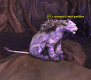 A corrupted mist panther